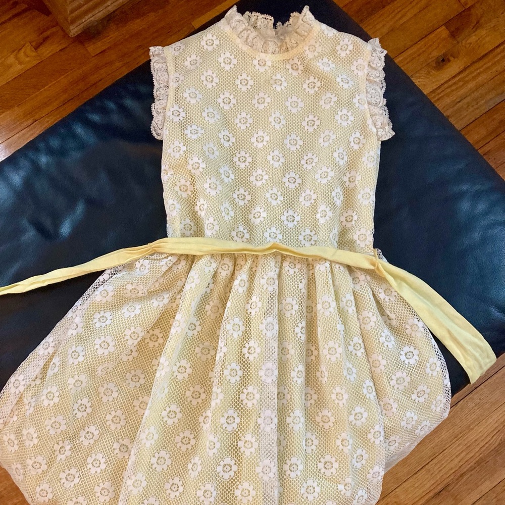 True 1960s Vintage Cinderella Dress